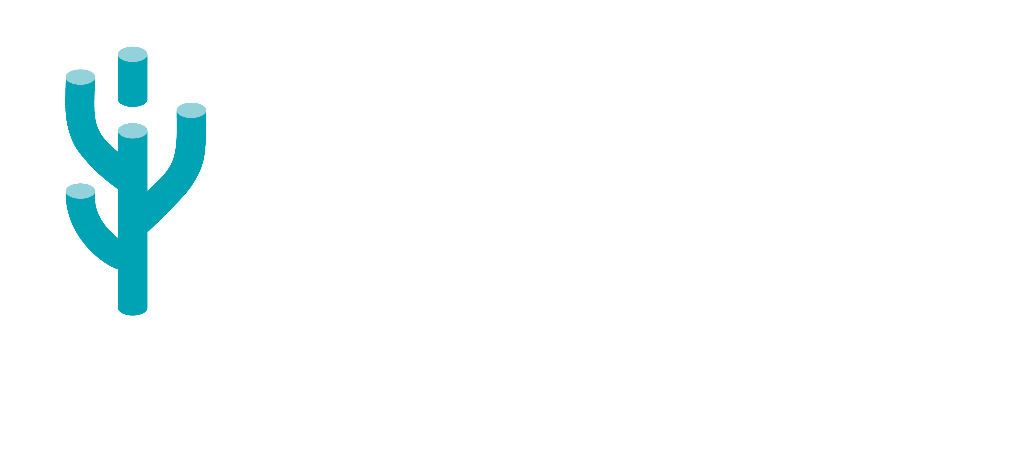 Raisers Consultoria em Marketing Digital